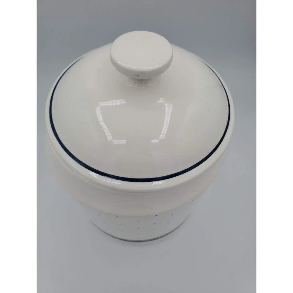 VTG Country Goose Ceramic Canister Jar 9 x 6 inches Grannycore Cottagecore